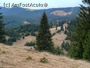 [P03] Poteca tematică 12 Apostoli » foto by Mika
 - 
<span class="allrVoted glyphicon glyphicon-heart hidden" id="av1265486"></span>
<a class="m-l-10 hidden" id="sv1265486" onclick="voting_Foto_DelVot(,1265486,21597)" role="button">șterge vot <span class="glyphicon glyphicon-remove"></span></a>
<a id="v91265486" class=" c-red"  onclick="voting_Foto_SetVot(1265486)" role="button"><span class="glyphicon glyphicon-heart-empty"></span> <b>LIKE</b> = Votează poza</a> <img class="hidden"  id="f1265486W9" src="/imagini/loader.gif" border="0" /><span class="AjErrMes hidden" id="e1265486ErM"></span>