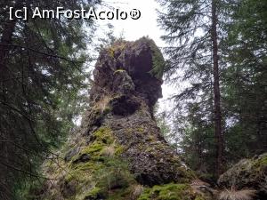 [P09] O altă stâncă cu forme ciudate » foto by Mika
 - 
<span class="allrVoted glyphicon glyphicon-heart hidden" id="av1265492"></span>
<a class="m-l-10 hidden" id="sv1265492" onclick="voting_Foto_DelVot(,1265492,21597)" role="button">șterge vot <span class="glyphicon glyphicon-remove"></span></a>
<a id="v91265492" class=" c-red"  onclick="voting_Foto_SetVot(1265492)" role="button"><span class="glyphicon glyphicon-heart-empty"></span> <b>LIKE</b> = Votează poza</a> <img class="hidden"  id="f1265492W9" src="/imagini/loader.gif" border="0" /><span class="AjErrMes hidden" id="e1265492ErM"></span>