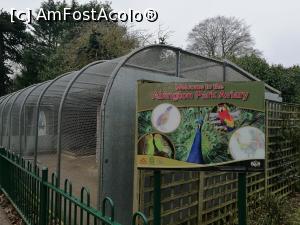 [P30] Parcul Abington; aviarul » foto by crismis
 - 
<span class="allrVoted glyphicon glyphicon-heart hidden" id="av836760"></span>
<a class="m-l-10 hidden" id="sv836760" onclick="voting_Foto_DelVot(,836760,21609)" role="button">șterge vot <span class="glyphicon glyphicon-remove"></span></a>
<a id="v9836760" class=" c-red"  onclick="voting_Foto_SetVot(836760)" role="button"><span class="glyphicon glyphicon-heart-empty"></span> <b>LIKE</b> = Votează poza</a> <img class="hidden"  id="f836760W9" src="/imagini/loader.gif" border="0" /><span class="AjErrMes hidden" id="e836760ErM"></span>