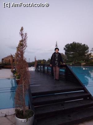 [P16] pasarela dintre piscine » foto by ile57b
 - 
<span class="allrVoted glyphicon glyphicon-heart hidden" id="av1292921"></span>
<a class="m-l-10 hidden" id="sv1292921" onclick="voting_Foto_DelVot(,1292921,21626)" role="button">șterge vot <span class="glyphicon glyphicon-remove"></span></a>
<a id="v91292921" class=" c-red"  onclick="voting_Foto_SetVot(1292921)" role="button"><span class="glyphicon glyphicon-heart-empty"></span> <b>LIKE</b> = Votează poza</a> <img class="hidden"  id="f1292921W9" src="/imagini/loader.gif" border="0" /><span class="AjErrMes hidden" id="e1292921ErM"></span>