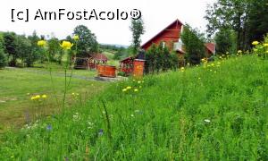 [P12] Cabana văzută din lateral printre bulbucii de munte (flori ocrotite). Lângă cabană este vestitul ”jacuzzi” secuiesc (bazinul de lemn)  » foto by Lucien
 - 
<span class="allrVoted glyphicon glyphicon-heart hidden" id="av838005"></span>
<a class="m-l-10 hidden" id="sv838005" onclick="voting_Foto_DelVot(,838005,21631)" role="button">șterge vot <span class="glyphicon glyphicon-remove"></span></a>
<a id="v9838005" class=" c-red"  onclick="voting_Foto_SetVot(838005)" role="button"><span class="glyphicon glyphicon-heart-empty"></span> <b>LIKE</b> = Votează poza</a> <img class="hidden"  id="f838005W9" src="/imagini/loader.gif" border="0" /><span class="AjErrMes hidden" id="e838005ErM"></span>