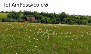 [P15] Cabana Nefelejcs (Nu Mă Uita) văzută din fâneața cu sânziene. Proprietatea se întinde pe 3 hectare și practic nu are vecini.  » foto by Lucien
 - 
<span class="allrVoted glyphicon glyphicon-heart hidden" id="av838011"></span>
<a class="m-l-10 hidden" id="sv838011" onclick="voting_Foto_DelVot(,838011,21631)" role="button">șterge vot <span class="glyphicon glyphicon-remove"></span></a>
<a id="v9838011" class=" c-red"  onclick="voting_Foto_SetVot(838011)" role="button"><span class="glyphicon glyphicon-heart-empty"></span> <b>LIKE</b> = Votează poza</a> <img class="hidden"  id="f838011W9" src="/imagini/loader.gif" border="0" /><span class="AjErrMes hidden" id="e838011ErM"></span>