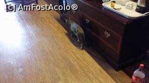 [P59] Five Continents Ghantoot Beach Resort - am avut musafiri » foto by nicole33
 - 
<span class="allrVoted glyphicon glyphicon-heart hidden" id="av838259"></span>
<a class="m-l-10 hidden" id="sv838259" onclick="voting_Foto_DelVot(,838259,21646)" role="button">șterge vot <span class="glyphicon glyphicon-remove"></span></a>
<a id="v9838259" class=" c-red"  onclick="voting_Foto_SetVot(838259)" role="button"><span class="glyphicon glyphicon-heart-empty"></span> <b>LIKE</b> = Votează poza</a> <img class="hidden"  id="f838259W9" src="/imagini/loader.gif" border="0" /><span class="AjErrMes hidden" id="e838259ErM"></span>