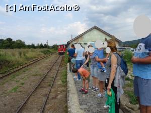 [P01] În așteptarea Mocăniței - pe peron. » foto by tata123 🔱
 - 
<span class="allrVoted glyphicon glyphicon-heart hidden" id="av1249202"></span>
<a class="m-l-10 hidden" id="sv1249202" onclick="voting_Foto_DelVot(,1249202,21647)" role="button">șterge vot <span class="glyphicon glyphicon-remove"></span></a>
<a id="v91249202" class=" c-red"  onclick="voting_Foto_SetVot(1249202)" role="button"><span class="glyphicon glyphicon-heart-empty"></span> <b>LIKE</b> = Votează poza</a> <img class="hidden"  id="f1249202W9" src="/imagini/loader.gif" border="0" /><span class="AjErrMes hidden" id="e1249202ErM"></span>