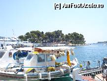 [P18] Skiathos Town - iulie 2011 » foto by ionescunic
 - 
<span class="allrVoted glyphicon glyphicon-heart hidden" id="av308117"></span>
<a class="m-l-10 hidden" id="sv308117" onclick="voting_Foto_DelVot(,308117,21650)" role="button">șterge vot <span class="glyphicon glyphicon-remove"></span></a>
<a id="v9308117" class=" c-red"  onclick="voting_Foto_SetVot(308117)" role="button"><span class="glyphicon glyphicon-heart-empty"></span> <b>LIKE</b> = Votează poza</a> <img class="hidden"  id="f308117W9" src="/imagini/loader.gif" border="0" /><span class="AjErrMes hidden" id="e308117ErM"></span>