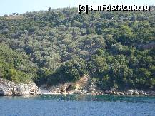 [P05] Cu Africana spre Skiathos iulie 2011 - tarmurile frumoasei insule » foto by ionescunic
 - 
<span class="allrVoted glyphicon glyphicon-heart hidden" id="av308104"></span>
<a class="m-l-10 hidden" id="sv308104" onclick="voting_Foto_DelVot(,308104,21650)" role="button">șterge vot <span class="glyphicon glyphicon-remove"></span></a>
<a id="v9308104" class=" c-red"  onclick="voting_Foto_SetVot(308104)" role="button"><span class="glyphicon glyphicon-heart-empty"></span> <b>LIKE</b> = Votează poza</a> <img class="hidden"  id="f308104W9" src="/imagini/loader.gif" border="0" /><span class="AjErrMes hidden" id="e308104ErM"></span>