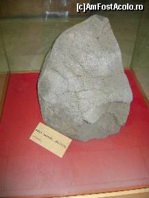 [P12] Bomba vulcanica andezitica. » foto by ninaa
 - 
<span class="allrVoted glyphicon glyphicon-heart hidden" id="av157142"></span>
<a class="m-l-10 hidden" id="sv157142" onclick="voting_Foto_DelVot(,157142,21662)" role="button">șterge vot <span class="glyphicon glyphicon-remove"></span></a>
<a id="v9157142" class=" c-red"  onclick="voting_Foto_SetVot(157142)" role="button"><span class="glyphicon glyphicon-heart-empty"></span> <b>LIKE</b> = Votează poza</a> <img class="hidden"  id="f157142W9" src="/imagini/loader.gif" border="0" /><span class="AjErrMes hidden" id="e157142ErM"></span>