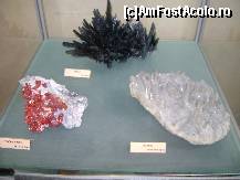 [P15] Realgar, stibina, baritina. » foto by ninaa
 - 
<span class="allrVoted glyphicon glyphicon-heart hidden" id="av157145"></span>
<a class="m-l-10 hidden" id="sv157145" onclick="voting_Foto_DelVot(,157145,21662)" role="button">șterge vot <span class="glyphicon glyphicon-remove"></span></a>
<a id="v9157145" class=" c-red"  onclick="voting_Foto_SetVot(157145)" role="button"><span class="glyphicon glyphicon-heart-empty"></span> <b>LIKE</b> = Votează poza</a> <img class="hidden"  id="f157145W9" src="/imagini/loader.gif" border="0" /><span class="AjErrMes hidden" id="e157145ErM"></span>