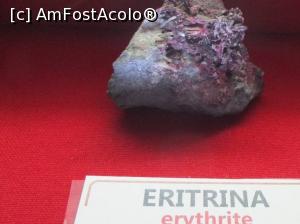 [P29] Mineral de eritrină » foto by Michi
 - 
<span class="allrVoted glyphicon glyphicon-heart hidden" id="av1349376"></span>
<a class="m-l-10 hidden" id="sv1349376" onclick="voting_Foto_DelVot(,1349376,21662)" role="button">șterge vot <span class="glyphicon glyphicon-remove"></span></a>
<a id="v91349376" class=" c-red"  onclick="voting_Foto_SetVot(1349376)" role="button"><span class="glyphicon glyphicon-heart-empty"></span> <b>LIKE</b> = Votează poza</a> <img class="hidden"  id="f1349376W9" src="/imagini/loader.gif" border="0" /><span class="AjErrMes hidden" id="e1349376ErM"></span>