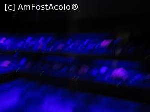 [P57] Minerale fluorescente » foto by Michi
 - 
<span class="allrVoted glyphicon glyphicon-heart hidden" id="av1349404"></span>
<a class="m-l-10 hidden" id="sv1349404" onclick="voting_Foto_DelVot(,1349404,21662)" role="button">șterge vot <span class="glyphicon glyphicon-remove"></span></a>
<a id="v91349404" class=" c-red"  onclick="voting_Foto_SetVot(1349404)" role="button"><span class="glyphicon glyphicon-heart-empty"></span> <b>LIKE</b> = Votează poza</a> <img class="hidden"  id="f1349404W9" src="/imagini/loader.gif" border="0" /><span class="AjErrMes hidden" id="e1349404ErM"></span>