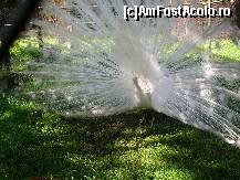 [P05] Păunul care se credea la cabaret :) » foto by corinka
 - 
<span class="allrVoted glyphicon glyphicon-heart hidden" id="av88483"></span>
<a class="m-l-10 hidden" id="sv88483" onclick="voting_Foto_DelVot(,88483,21664)" role="button">șterge vot <span class="glyphicon glyphicon-remove"></span></a>
<a id="v988483" class=" c-red"  onclick="voting_Foto_SetVot(88483)" role="button"><span class="glyphicon glyphicon-heart-empty"></span> <b>LIKE</b> = Votează poza</a> <img class="hidden"  id="f88483W9" src="/imagini/loader.gif" border="0" /><span class="AjErrMes hidden" id="e88483ErM"></span>