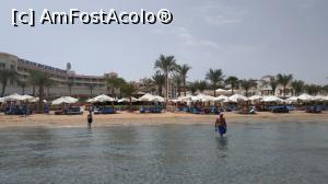 [P11] vedere spre hotel din mare » foto by elenaadina
 - 
<span class="allrVoted glyphicon glyphicon-heart hidden" id="av1211943"></span>
<a class="m-l-10 hidden" id="sv1211943" onclick="voting_Foto_DelVot(,1211943,21666)" role="button">șterge vot <span class="glyphicon glyphicon-remove"></span></a>
<a id="v91211943" class=" c-red"  onclick="voting_Foto_SetVot(1211943)" role="button"><span class="glyphicon glyphicon-heart-empty"></span> <b>LIKE</b> = Votează poza</a> <img class="hidden"  id="f1211943W9" src="/imagini/loader.gif" border="0" /><span class="AjErrMes hidden" id="e1211943ErM"></span>