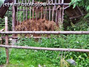 [P13] Hrănitoare pentru căprioare în zona șeii dintre lacurile Iezer și Bolătău » foto by Lucien
 - 
<span class="allrVoted glyphicon glyphicon-heart hidden" id="av839245"></span>
<a class="m-l-10 hidden" id="sv839245" onclick="voting_Foto_DelVot(,839245,21669)" role="button">șterge vot <span class="glyphicon glyphicon-remove"></span></a>
<a id="v9839245" class=" c-red"  onclick="voting_Foto_SetVot(839245)" role="button"><span class="glyphicon glyphicon-heart-empty"></span> <b>LIKE</b> = Votează poza</a> <img class="hidden"  id="f839245W9" src="/imagini/loader.gif" border="0" /><span class="AjErrMes hidden" id="e839245ErM"></span>