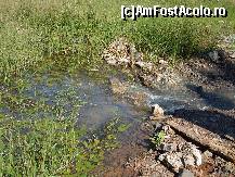 [P13] Lacul Iezer Sadova - lastarisul din apa, la scurgere » foto by valimi
 - 
<span class="allrVoted glyphicon glyphicon-heart hidden" id="av149396"></span>
<a class="m-l-10 hidden" id="sv149396" onclick="voting_Foto_DelVot(,149396,21669)" role="button">șterge vot <span class="glyphicon glyphicon-remove"></span></a>
<a id="v9149396" class=" c-red"  onclick="voting_Foto_SetVot(149396)" role="button"><span class="glyphicon glyphicon-heart-empty"></span> <b>LIKE</b> = Votează poza</a> <img class="hidden"  id="f149396W9" src="/imagini/loader.gif" border="0" /><span class="AjErrMes hidden" id="e149396ErM"></span>