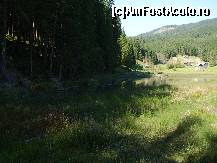 [P14] Lacul Iezer Sadova - padurea deasa de rasinoase care umbrea lacul pe o parte » foto by valimi
 - 
<span class="allrVoted glyphicon glyphicon-heart hidden" id="av149397"></span>
<a class="m-l-10 hidden" id="sv149397" onclick="voting_Foto_DelVot(,149397,21669)" role="button">șterge vot <span class="glyphicon glyphicon-remove"></span></a>
<a id="v9149397" class=" c-red"  onclick="voting_Foto_SetVot(149397)" role="button"><span class="glyphicon glyphicon-heart-empty"></span> <b>LIKE</b> = Votează poza</a> <img class="hidden"  id="f149397W9" src="/imagini/loader.gif" border="0" /><span class="AjErrMes hidden" id="e149397ErM"></span>