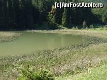 [P02] Lacul Iezer Sadova - asta-i tot, era sa trecem pe langa el, in cautarea adevaratului lac » foto by valimi
 - 
<span class="allrVoted glyphicon glyphicon-heart hidden" id="av149385"></span>
<a class="m-l-10 hidden" id="sv149385" onclick="voting_Foto_DelVot(,149385,21669)" role="button">șterge vot <span class="glyphicon glyphicon-remove"></span></a>
<a id="v9149385" class=" c-red"  onclick="voting_Foto_SetVot(149385)" role="button"><span class="glyphicon glyphicon-heart-empty"></span> <b>LIKE</b> = Votează poza</a> <img class="hidden"  id="f149385W9" src="/imagini/loader.gif" border="0" /><span class="AjErrMes hidden" id="e149385ErM"></span>
