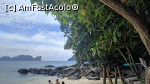 [P19]  -- <small>// FĂRĂ DESCRIERE</small> » foto by ascarlat
 - 
<span class="allrVoted glyphicon glyphicon-heart hidden" id="av839323"></span>
<a class="m-l-10 hidden" id="sv839323" onclick="voting_Foto_DelVot(,839323,21672)" role="button">șterge vot <span class="glyphicon glyphicon-remove"></span></a>
<a id="v9839323" class=" c-red"  onclick="voting_Foto_SetVot(839323)" role="button"><span class="glyphicon glyphicon-heart-empty"></span> <b>LIKE</b> = Votează poza</a> <img class="hidden"  id="f839323W9" src="/imagini/loader.gif" border="0" /><span class="AjErrMes hidden" id="e839323ErM"></span>