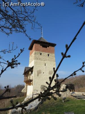 [P13] Turnul-locuință (donjon) și balconul exterior de acces - cetatea Mălăiești.  » foto by tata123 🔱
 - 
<span class="allrVoted glyphicon glyphicon-heart hidden" id="av737819"></span>
<a class="m-l-10 hidden" id="sv737819" onclick="voting_Foto_DelVot(,737819,21674)" role="button">șterge vot <span class="glyphicon glyphicon-remove"></span></a>
<a id="v9737819" class=" c-red"  onclick="voting_Foto_SetVot(737819)" role="button"><span class="glyphicon glyphicon-heart-empty"></span> <b>LIKE</b> = Votează poza</a> <img class="hidden"  id="f737819W9" src="/imagini/loader.gif" border="0" /><span class="AjErrMes hidden" id="e737819ErM"></span>