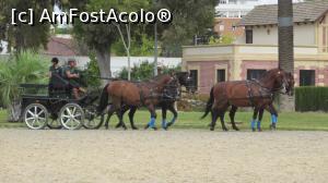 [P06] La antrenament » foto by cinecita
 - 
<span class="allrVoted glyphicon glyphicon-heart hidden" id="av839820"></span>
<a class="m-l-10 hidden" id="sv839820" onclick="voting_Foto_DelVot(,839820,21679)" role="button">șterge vot <span class="glyphicon glyphicon-remove"></span></a>
<a id="v9839820" class=" c-red"  onclick="voting_Foto_SetVot(839820)" role="button"><span class="glyphicon glyphicon-heart-empty"></span> <b>LIKE</b> = Votează poza</a> <img class="hidden"  id="f839820W9" src="/imagini/loader.gif" border="0" /><span class="AjErrMes hidden" id="e839820ErM"></span>