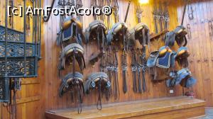 [P07] Harnasamente (poza furata, nu aveam voie).  » foto by cinecita
 - 
<span class="allrVoted glyphicon glyphicon-heart hidden" id="av839821"></span>
<a class="m-l-10 hidden" id="sv839821" onclick="voting_Foto_DelVot(,839821,21679)" role="button">șterge vot <span class="glyphicon glyphicon-remove"></span></a>
<a id="v9839821" class=" c-red"  onclick="voting_Foto_SetVot(839821)" role="button"><span class="glyphicon glyphicon-heart-empty"></span> <b>LIKE</b> = Votează poza</a> <img class="hidden"  id="f839821W9" src="/imagini/loader.gif" border="0" /><span class="AjErrMes hidden" id="e839821ErM"></span>