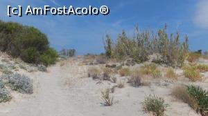 [P52] dune la Elafonissi » foto by teona
 - 
<span class="allrVoted glyphicon glyphicon-heart hidden" id="av840661"></span>
<a class="m-l-10 hidden" id="sv840661" onclick="voting_Foto_DelVot(,840661,21695)" role="button">șterge vot <span class="glyphicon glyphicon-remove"></span></a>
<a id="v9840661" class=" c-red"  onclick="voting_Foto_SetVot(840661)" role="button"><span class="glyphicon glyphicon-heart-empty"></span> <b>LIKE</b> = Votează poza</a> <img class="hidden"  id="f840661W9" src="/imagini/loader.gif" border="0" /><span class="AjErrMes hidden" id="e840661ErM"></span>
