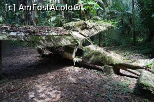 [P11] un avion prabusit in mijlocul junglei » foto by Pami*
 - 
<span class="allrVoted glyphicon glyphicon-heart hidden" id="av841041"></span>
<a class="m-l-10 hidden" id="sv841041" onclick="voting_Foto_DelVot(,841041,21700)" role="button">șterge vot <span class="glyphicon glyphicon-remove"></span></a>
<a id="v9841041" class=" c-red"  onclick="voting_Foto_SetVot(841041)" role="button"><span class="glyphicon glyphicon-heart-empty"></span> <b>LIKE</b> = Votează poza</a> <img class="hidden"  id="f841041W9" src="/imagini/loader.gif" border="0" /><span class="AjErrMes hidden" id="e841041ErM"></span>