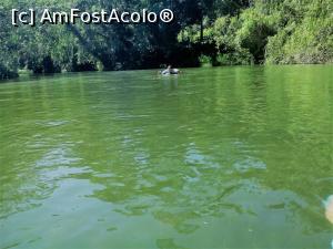 [P16] ultima poza facuta de pe apa in momentul cand mi-am dat seama ca ma departez din ce in ce mai mult de mal... sotul meu incearca disperat sa ma ajunga... totul s-a terminat cu bine!  » foto by Pami*
 - 
<span class="allrVoted glyphicon glyphicon-heart hidden" id="av841125"></span>
<a class="m-l-10 hidden" id="sv841125" onclick="voting_Foto_DelVot(,841125,21700)" role="button">șterge vot <span class="glyphicon glyphicon-remove"></span></a>
<a id="v9841125" class=" c-red"  onclick="voting_Foto_SetVot(841125)" role="button"><span class="glyphicon glyphicon-heart-empty"></span> <b>LIKE</b> = Votează poza</a> <img class="hidden"  id="f841125W9" src="/imagini/loader.gif" border="0" /><span class="AjErrMes hidden" id="e841125ErM"></span>