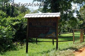 [P06] Belize este plin de parcuri naturale - aici un refugiu pentru jaguari » foto by Pami*
 - 
<span class="allrVoted glyphicon glyphicon-heart hidden" id="av841036"></span>
<a class="m-l-10 hidden" id="sv841036" onclick="voting_Foto_DelVot(,841036,21700)" role="button">șterge vot <span class="glyphicon glyphicon-remove"></span></a>
<a id="v9841036" class=" c-red"  onclick="voting_Foto_SetVot(841036)" role="button"><span class="glyphicon glyphicon-heart-empty"></span> <b>LIKE</b> = Votează poza</a> <img class="hidden"  id="f841036W9" src="/imagini/loader.gif" border="0" /><span class="AjErrMes hidden" id="e841036ErM"></span>