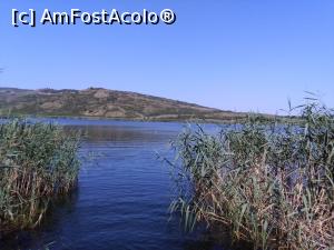 [P33] Lacul Stiucilor » foto by dinulica
 - 
<span class="allrVoted glyphicon glyphicon-heart hidden" id="av841298"></span>
<a class="m-l-10 hidden" id="sv841298" onclick="voting_Foto_DelVot(,841298,21706)" role="button">șterge vot <span class="glyphicon glyphicon-remove"></span></a>
<a id="v9841298" class=" c-red"  onclick="voting_Foto_SetVot(841298)" role="button"><span class="glyphicon glyphicon-heart-empty"></span> <b>LIKE</b> = Votează poza</a> <img class="hidden"  id="f841298W9" src="/imagini/loader.gif" border="0" /><span class="AjErrMes hidden" id="e841298ErM"></span>