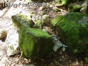 [P15] muschi si vegetatie peste pietrele perfect slefuite » foto by buterfly*
 - 
<span class="allrVoted glyphicon glyphicon-heart hidden" id="av843333"></span>
<a class="m-l-10 hidden" id="sv843333" onclick="voting_Foto_DelVot(,843333,21723)" role="button">șterge vot <span class="glyphicon glyphicon-remove"></span></a>
<a id="v9843333" class=" c-red"  onclick="voting_Foto_SetVot(843333)" role="button"><span class="glyphicon glyphicon-heart-empty"></span> <b>LIKE</b> = Votează poza</a> <img class="hidden"  id="f843333W9" src="/imagini/loader.gif" border="0" /><span class="AjErrMes hidden" id="e843333ErM"></span>