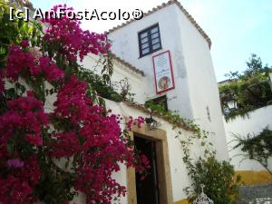 [P05] Admir florile de bouganvillea ce acopera fatadele caselor vechi.  » foto by mireille
 - 
<span class="allrVoted glyphicon glyphicon-heart hidden" id="av843686"></span>
<a class="m-l-10 hidden" id="sv843686" onclick="voting_Foto_DelVot(,843686,21727)" role="button">șterge vot <span class="glyphicon glyphicon-remove"></span></a>
<a id="v9843686" class=" c-red"  onclick="voting_Foto_SetVot(843686)" role="button"><span class="glyphicon glyphicon-heart-empty"></span> <b>LIKE</b> = Votează poza</a> <img class="hidden"  id="f843686W9" src="/imagini/loader.gif" border="0" /><span class="AjErrMes hidden" id="e843686ErM"></span>