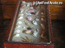 [P04] Menia maria III diverse aranjamente din interior » foto by ionescunic
 - 
<span class="allrVoted glyphicon glyphicon-heart hidden" id="av150820"></span>
<a class="m-l-10 hidden" id="sv150820" onclick="voting_Foto_DelVot(,150820,21730)" role="button">șterge vot <span class="glyphicon glyphicon-remove"></span></a>
<a id="v9150820" class=" c-red"  onclick="voting_Foto_SetVot(150820)" role="button"><span class="glyphicon glyphicon-heart-empty"></span> <b>LIKE</b> = Votează poza</a> <img class="hidden"  id="f150820W9" src="/imagini/loader.gif" border="0" /><span class="AjErrMes hidden" id="e150820ErM"></span>