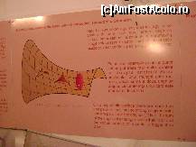 [P14] Biblioteca Teleki - Bolyai Tg. Mures - geometria hiperbolica » foto by biancuta
 - 
<span class="allrVoted glyphicon glyphicon-heart hidden" id="av144892"></span>
<a class="m-l-10 hidden" id="sv144892" onclick="voting_Foto_DelVot(,144892,21744)" role="button">șterge vot <span class="glyphicon glyphicon-remove"></span></a>
<a id="v9144892" class=" c-red"  onclick="voting_Foto_SetVot(144892)" role="button"><span class="glyphicon glyphicon-heart-empty"></span> <b>LIKE</b> = Votează poza</a> <img class="hidden"  id="f144892W9" src="/imagini/loader.gif" border="0" /><span class="AjErrMes hidden" id="e144892ErM"></span>
