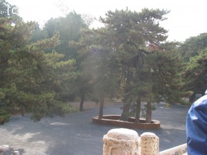 [P23] Beijing - mormintele dinastiei Ming, curte » foto by mishu
 - 
<span class="allrVoted glyphicon glyphicon-heart hidden" id="av706129"></span>
<a class="m-l-10 hidden" id="sv706129" onclick="voting_Foto_DelVot(,706129,21753)" role="button">șterge vot <span class="glyphicon glyphicon-remove"></span></a>
<a id="v9706129" class=" c-red"  onclick="voting_Foto_SetVot(706129)" role="button"><span class="glyphicon glyphicon-heart-empty"></span> <b>LIKE</b> = Votează poza</a> <img class="hidden"  id="f706129W9" src="/imagini/loader.gif" border="0" /><span class="AjErrMes hidden" id="e706129ErM"></span>