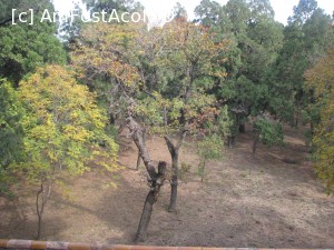 [P37] Beijing - mormintele dinastiei Ming, Orasul patrat - Turnul memoriei, aici suntem cu spatele la intrare insa cu fata la acest deal care reprezinta de fapt mormantul imparatului » foto by mishu
 - 
<span class="allrVoted glyphicon glyphicon-heart hidden" id="av706145"></span>
<a class="m-l-10 hidden" id="sv706145" onclick="voting_Foto_DelVot(,706145,21753)" role="button">șterge vot <span class="glyphicon glyphicon-remove"></span></a>
<a id="v9706145" class=" c-red"  onclick="voting_Foto_SetVot(706145)" role="button"><span class="glyphicon glyphicon-heart-empty"></span> <b>LIKE</b> = Votează poza</a> <img class="hidden"  id="f706145W9" src="/imagini/loader.gif" border="0" /><span class="AjErrMes hidden" id="e706145ErM"></span>