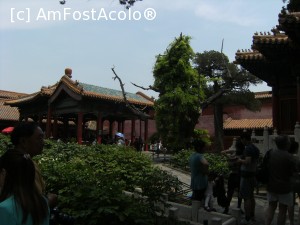 [P30] Beijing - Orasul interzis » foto by mishu
 - 
<span class="allrVoted glyphicon glyphicon-heart hidden" id="av705629"></span>
<a class="m-l-10 hidden" id="sv705629" onclick="voting_Foto_DelVot(,705629,21755)" role="button">șterge vot <span class="glyphicon glyphicon-remove"></span></a>
<a id="v9705629" class=" c-red"  onclick="voting_Foto_SetVot(705629)" role="button"><span class="glyphicon glyphicon-heart-empty"></span> <b>LIKE</b> = Votează poza</a> <img class="hidden"  id="f705629W9" src="/imagini/loader.gif" border="0" /><span class="AjErrMes hidden" id="e705629ErM"></span>