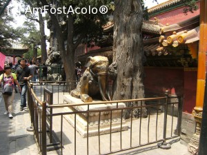 [P36] Beijing - Orasul interzis » foto by mishu
 - 
<span class="allrVoted glyphicon glyphicon-heart hidden" id="av705635"></span>
<a class="m-l-10 hidden" id="sv705635" onclick="voting_Foto_DelVot(,705635,21755)" role="button">șterge vot <span class="glyphicon glyphicon-remove"></span></a>
<a id="v9705635" class=" c-red"  onclick="voting_Foto_SetVot(705635)" role="button"><span class="glyphicon glyphicon-heart-empty"></span> <b>LIKE</b> = Votează poza</a> <img class="hidden"  id="f705635W9" src="/imagini/loader.gif" border="0" /><span class="AjErrMes hidden" id="e705635ErM"></span>