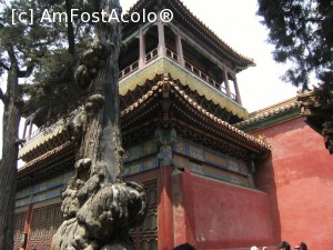[P37] Beijing - Orasul interzis - detalii arhitectonice » foto by mishu
 - 
<span class="allrVoted glyphicon glyphicon-heart hidden" id="av705636"></span>
<a class="m-l-10 hidden" id="sv705636" onclick="voting_Foto_DelVot(,705636,21755)" role="button">șterge vot <span class="glyphicon glyphicon-remove"></span></a>
<a id="v9705636" class=" c-red"  onclick="voting_Foto_SetVot(705636)" role="button"><span class="glyphicon glyphicon-heart-empty"></span> <b>LIKE</b> = Votează poza</a> <img class="hidden"  id="f705636W9" src="/imagini/loader.gif" border="0" /><span class="AjErrMes hidden" id="e705636ErM"></span>