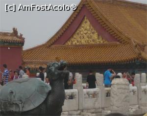 [P09] Broasca Țestoasă simbol al lpngevității și al rezistenței.  » foto by glcitizen
 - 
<span class="allrVoted glyphicon glyphicon-heart hidden" id="av941988"></span>
<a class="m-l-10 hidden" id="sv941988" onclick="voting_Foto_DelVot(,941988,21755)" role="button">șterge vot <span class="glyphicon glyphicon-remove"></span></a>
<a id="v9941988" class=" c-red"  onclick="voting_Foto_SetVot(941988)" role="button"><span class="glyphicon glyphicon-heart-empty"></span> <b>LIKE</b> = Votează poza</a> <img class="hidden"  id="f941988W9" src="/imagini/loader.gif" border="0" /><span class="AjErrMes hidden" id="e941988ErM"></span>