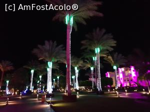 [P12] Rixos Premium Seagate - noaptea prin resort » foto by nicole33
 - 
<span class="allrVoted glyphicon glyphicon-heart hidden" id="av1246362"></span>
<a class="m-l-10 hidden" id="sv1246362" onclick="voting_Foto_DelVot(,1246362,21766)" role="button">șterge vot <span class="glyphicon glyphicon-remove"></span></a>
<a id="v91246362" class=" c-red"  onclick="voting_Foto_SetVot(1246362)" role="button"><span class="glyphicon glyphicon-heart-empty"></span> <b>LIKE</b> = Votează poza</a> <img class="hidden"  id="f1246362W9" src="/imagini/loader.gif" border="0" /><span class="AjErrMes hidden" id="e1246362ErM"></span>