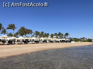 [P10] Rixos Premium Seagate - plaja » foto by nicole33
 - 
<span class="allrVoted glyphicon glyphicon-heart hidden" id="av1444683"></span>
<a class="m-l-10 hidden" id="sv1444683" onclick="voting_Foto_DelVot(,1444683,21766)" role="button">șterge vot <span class="glyphicon glyphicon-remove"></span></a>
<a id="v91444683" class=" c-red"  onclick="voting_Foto_SetVot(1444683)" role="button"><span class="glyphicon glyphicon-heart-empty"></span> <b>LIKE</b> = Votează poza</a> <img class="hidden"  id="f1444683W9" src="/imagini/loader.gif" border="0" /><span class="AjErrMes hidden" id="e1444683ErM"></span>