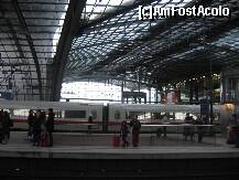 [P08] Nu e tren, e S-bahn » foto by Michi
 - 
<span class="allrVoted glyphicon glyphicon-heart hidden" id="av178333"></span>
<a class="m-l-10 hidden" id="sv178333" onclick="voting_Foto_DelVot(,178333,21770)" role="button">șterge vot <span class="glyphicon glyphicon-remove"></span></a>
<a id="v9178333" class=" c-red"  onclick="voting_Foto_SetVot(178333)" role="button"><span class="glyphicon glyphicon-heart-empty"></span> <b>LIKE</b> = Votează poza</a> <img class="hidden"  id="f178333W9" src="/imagini/loader.gif" border="0" /><span class="AjErrMes hidden" id="e178333ErM"></span>