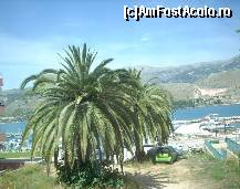 [P16] Undeva in port,in Argostoli. » foto by georgiana
 - 
<span class="allrVoted glyphicon glyphicon-heart hidden" id="av63107"></span>
<a class="m-l-10 hidden" id="sv63107" onclick="voting_Foto_DelVot(,63107,21772)" role="button">șterge vot <span class="glyphicon glyphicon-remove"></span></a>
<a id="v963107" class=" c-red"  onclick="voting_Foto_SetVot(63107)" role="button"><span class="glyphicon glyphicon-heart-empty"></span> <b>LIKE</b> = Votează poza</a> <img class="hidden"  id="f63107W9" src="/imagini/loader.gif" border="0" /><span class="AjErrMes hidden" id="e63107ErM"></span>
