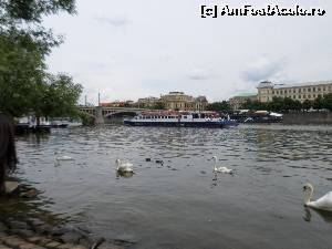 [P01] pe malurie Valtavei, vas de croaziera » foto by amero
 - 
<span class="allrVoted glyphicon glyphicon-heart hidden" id="av536617"></span>
<a class="m-l-10 hidden" id="sv536617" onclick="voting_Foto_DelVot(,536617,21773)" role="button">șterge vot <span class="glyphicon glyphicon-remove"></span></a>
<a id="v9536617" class=" c-red"  onclick="voting_Foto_SetVot(536617)" role="button"><span class="glyphicon glyphicon-heart-empty"></span> <b>LIKE</b> = Votează poza</a> <img class="hidden"  id="f536617W9" src="/imagini/loader.gif" border="0" /><span class="AjErrMes hidden" id="e536617ErM"></span>