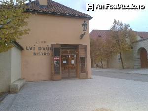 [P01] Poarta Leilor - pe strada care duce la Castel » foto by Pragheza_Gotica
 - 
<span class="allrVoted glyphicon glyphicon-heart hidden" id="av477728"></span>
<a class="m-l-10 hidden" id="sv477728" onclick="voting_Foto_DelVot(,477728,21778)" role="button">șterge vot <span class="glyphicon glyphicon-remove"></span></a>
<a id="v9477728" class=" c-red"  onclick="voting_Foto_SetVot(477728)" role="button"><span class="glyphicon glyphicon-heart-empty"></span> <b>LIKE</b> = Votează poza</a> <img class="hidden"  id="f477728W9" src="/imagini/loader.gif" border="0" /><span class="AjErrMes hidden" id="e477728ErM"></span>