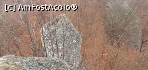 [P32] În spatele Crucii Dorințelor, alte înscrisuri. » foto by Aurici
 - 
<span class="allrVoted glyphicon glyphicon-heart hidden" id="av1218703"></span>
<a class="m-l-10 hidden" id="sv1218703" onclick="voting_Foto_DelVot(,1218703,21781)" role="button">șterge vot <span class="glyphicon glyphicon-remove"></span></a>
<a id="v91218703" class=" c-red"  onclick="voting_Foto_SetVot(1218703)" role="button"><span class="glyphicon glyphicon-heart-empty"></span> <b>LIKE</b> = Votează poza</a> <img class="hidden"  id="f1218703W9" src="/imagini/loader.gif" border="0" /><span class="AjErrMes hidden" id="e1218703ErM"></span>