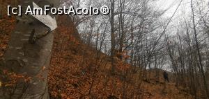 [P41] Spre Peștera Sfântului și Valea Chiliilor. » foto by Aurici
 - 
<span class="allrVoted glyphicon glyphicon-heart hidden" id="av1218712"></span>
<a class="m-l-10 hidden" id="sv1218712" onclick="voting_Foto_DelVot(,1218712,21781)" role="button">șterge vot <span class="glyphicon glyphicon-remove"></span></a>
<a id="v91218712" class=" c-red"  onclick="voting_Foto_SetVot(1218712)" role="button"><span class="glyphicon glyphicon-heart-empty"></span> <b>LIKE</b> = Votează poza</a> <img class="hidden"  id="f1218712W9" src="/imagini/loader.gif" border="0" /><span class="AjErrMes hidden" id="e1218712ErM"></span>