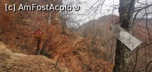 [P42] Merită să vă pierdeți pe poteci. » foto by Aurici
 - 
<span class="allrVoted glyphicon glyphicon-heart hidden" id="av1218713"></span>
<a class="m-l-10 hidden" id="sv1218713" onclick="voting_Foto_DelVot(,1218713,21781)" role="button">șterge vot <span class="glyphicon glyphicon-remove"></span></a>
<a id="v91218713" class=" c-red"  onclick="voting_Foto_SetVot(1218713)" role="button"><span class="glyphicon glyphicon-heart-empty"></span> <b>LIKE</b> = Votează poza</a> <img class="hidden"  id="f1218713W9" src="/imagini/loader.gif" border="0" /><span class="AjErrMes hidden" id="e1218713ErM"></span>