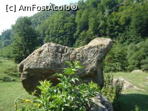 [P01] tronul uriasului cel marcat cu trident si zvastica » foto by buterfly*
 - 
<span class="allrVoted glyphicon glyphicon-heart hidden" id="av889382"></span>
<a class="m-l-10 hidden" id="sv889382" onclick="voting_Foto_DelVot(,889382,21781)" role="button">șterge vot <span class="glyphicon glyphicon-remove"></span></a>
<a id="v9889382" class=" c-red"  onclick="voting_Foto_SetVot(889382)" role="button"><span class="glyphicon glyphicon-heart-empty"></span> <b>LIKE</b> = Votează poza</a> <img class="hidden"  id="f889382W9" src="/imagini/loader.gif" border="0" /><span class="AjErrMes hidden" id="e889382ErM"></span>