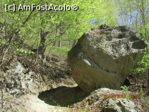 [P18] Tot pe mica potecuță.  » foto by elviramvio
 - 
<span class="allrVoted glyphicon glyphicon-heart hidden" id="av846020"></span>
<a class="m-l-10 hidden" id="sv846020" onclick="voting_Foto_DelVot(,846020,21781)" role="button">șterge vot <span class="glyphicon glyphicon-remove"></span></a>
<a id="v9846020" class=" c-red"  onclick="voting_Foto_SetVot(846020)" role="button"><span class="glyphicon glyphicon-heart-empty"></span> <b>LIKE</b> = Votează poza</a> <img class="hidden"  id="f846020W9" src="/imagini/loader.gif" border="0" /><span class="AjErrMes hidden" id="e846020ErM"></span>